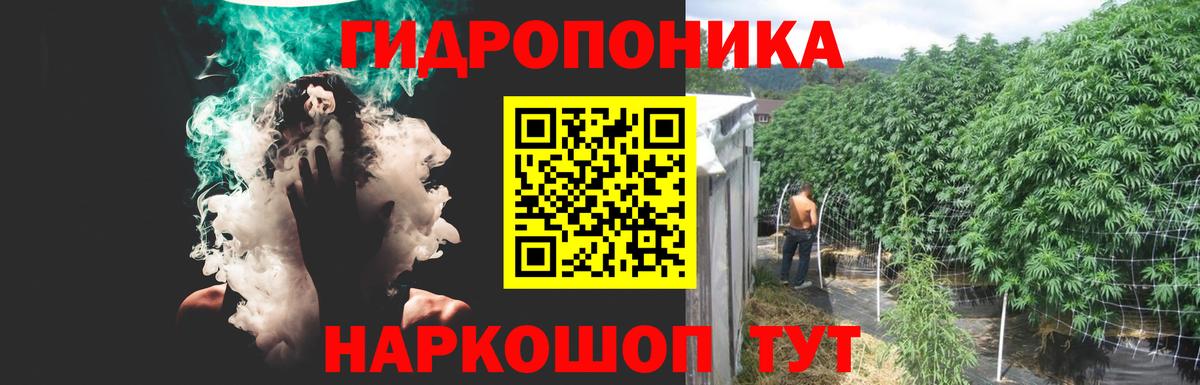 Мурино  Бошки Шишки сатива  Каннабис ГИДРОПОН  Вход с VPN 
